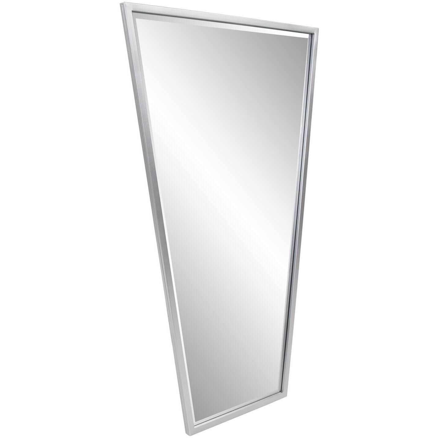 Ezra 47.5 X 30 inch Silver Mirror