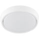 Myriad Fan Light Kit