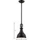 Rutherford 1 Light 9 inch Oil Rubbed Bronze Mini Pendant Ceiling Light
