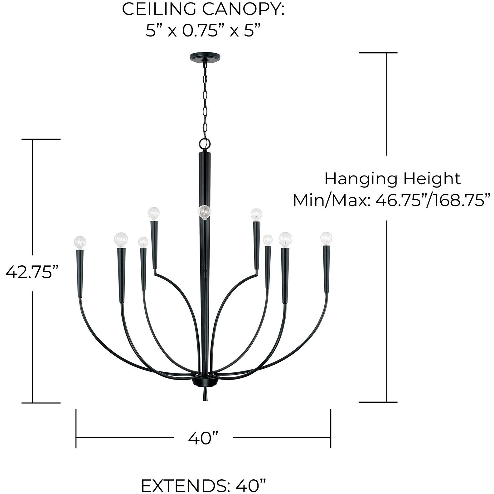 Holden 10 Light 40 inch Matte Black Chandelier Ceiling Light