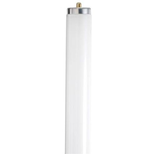 Lumos Fluorescent 59 watt 4100K Light Bulb, T8 Linear