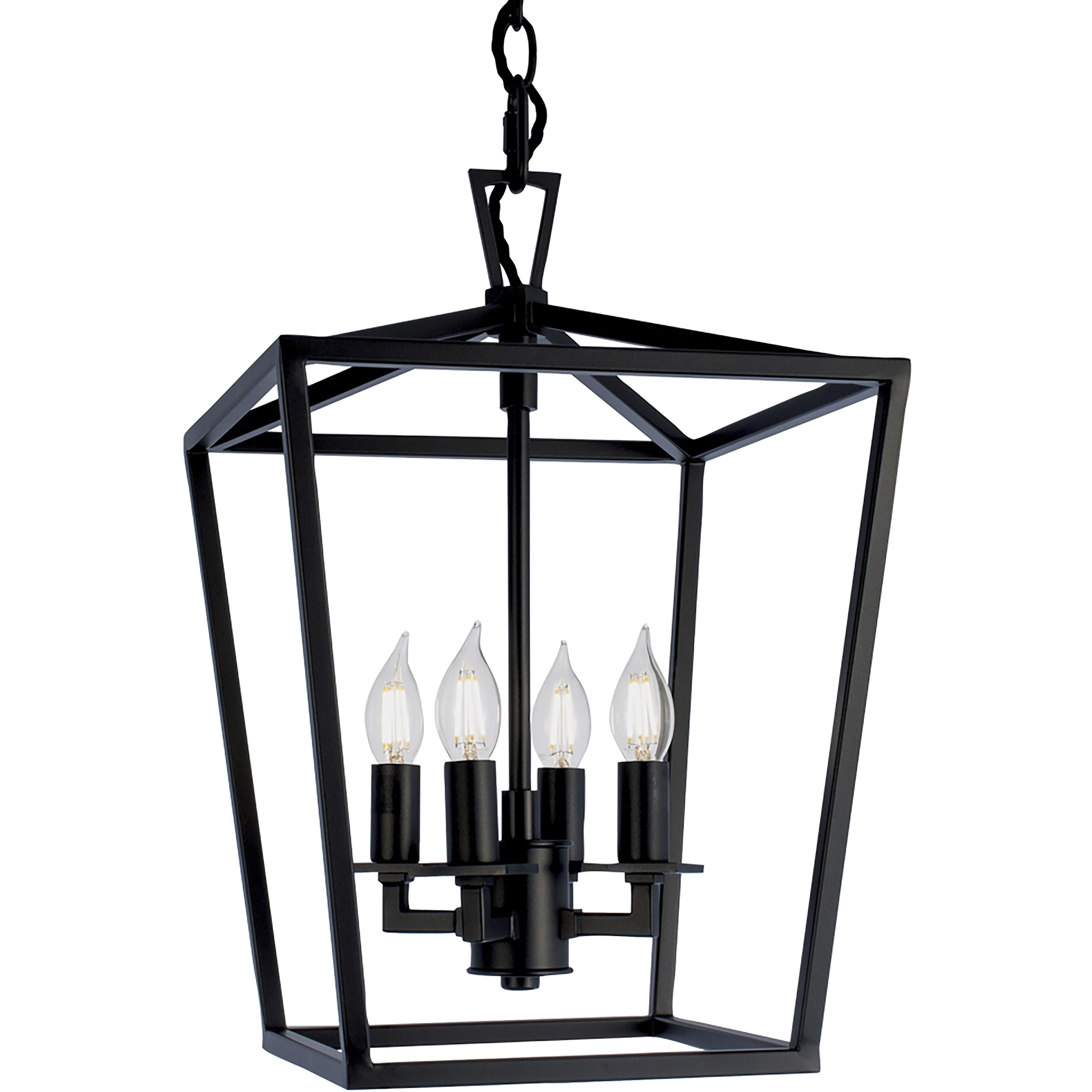 Cage Pendant Ceiling Light in Matte Black