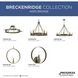 Breckenridge 8 Light 38 inch Aged Bronze Chandelier Ceiling Light, Design Series