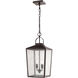 Devens 2 Light 10 inch Powder Coated Bronze Outdoor Hanging Lantern