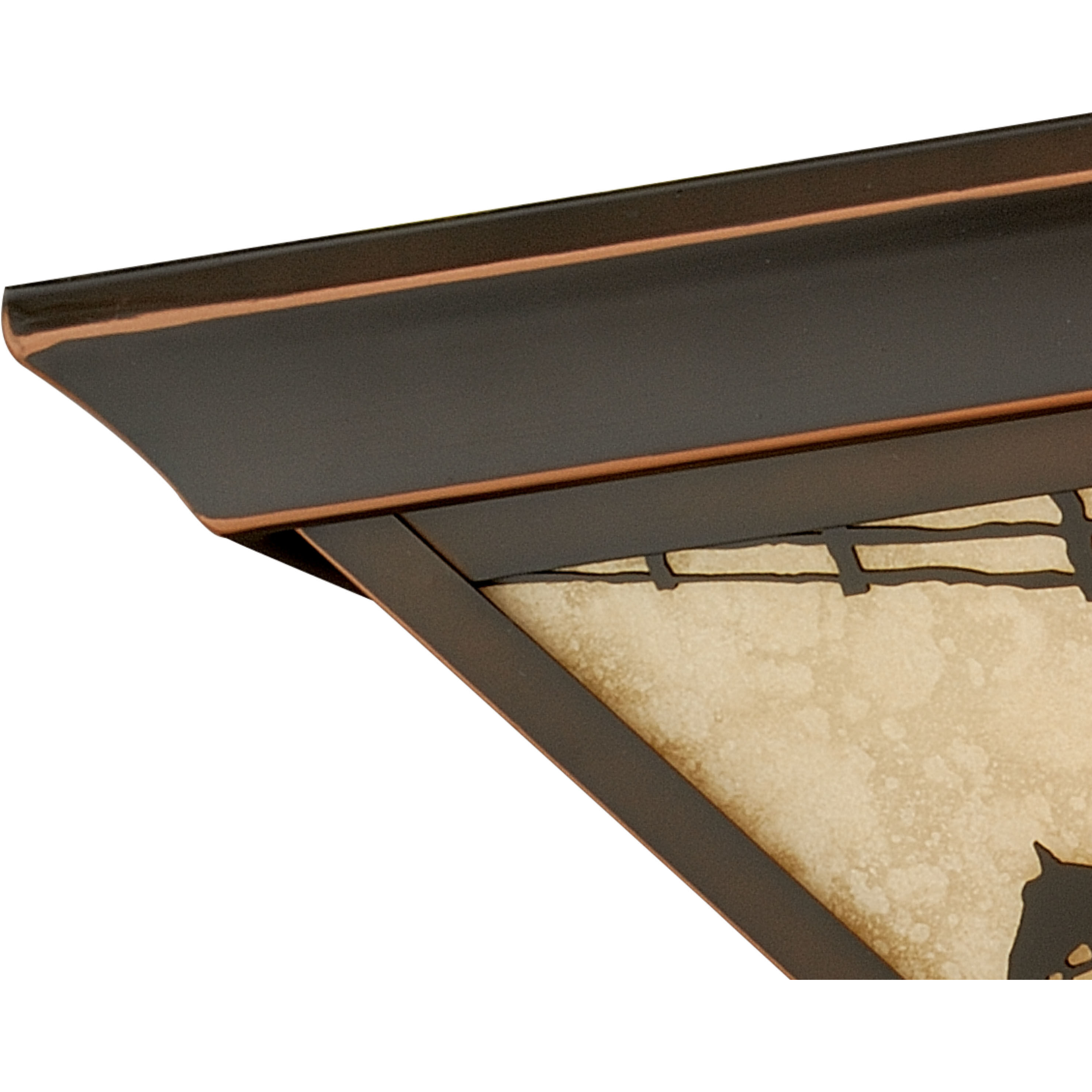 Trail LED 14 inch Burnished Bronze Outdoor Ceiling