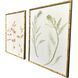 Floral Trace Multi and Blue and Brown and Green Framed Art