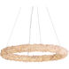 Ziva Corallo 29.5 inch 70.50 watt Coral Chandelier Ceiling Light