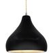 Radiance 1 Light 11.5 inch Carbon Matte Black and Brushed Nickel Pendant Ceiling Light