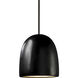 Radiance LED 9 inch Carbon Matte Black Pendant Ceiling Light in 700 Lm LED, Rigid Stem Kit