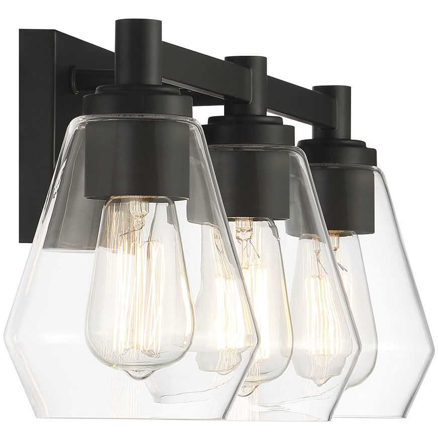 Clarity 3 Light 24 inch Coal Bath Vanity Wall Light