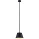 Lilly 1 Light 12 inch Matte Black Pendant Ceiling Light