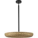 Alora Mood Maris LED 24.13 inch Matte Black Chandelier Ceiling Light