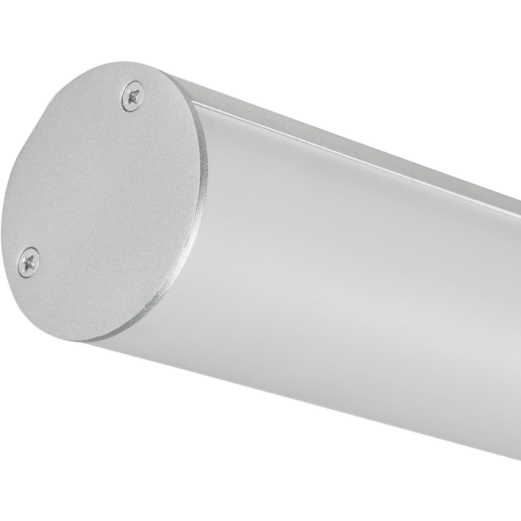 Procyon 24 inch Silver Bathroom Vanity Light Wall Light