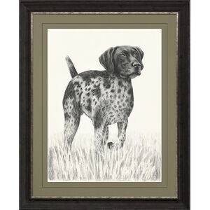 Canine Gaze / Canine Watch Black and Beige and Neutral Framed Art