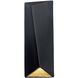 Ambiance Collection LED 22 inch Gloss Black Outdoor Wall Sconce