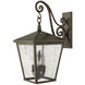 Heritage Trellis Outdoor Wall Mount Lantern in Regency Bronze, Non-LED, Extra Large