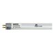 Signature LED T5 Miniature Bi Pin 25 watt 120V 3500K Light Bulb