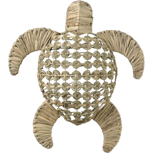 Ridley Natural Object, Large Turtle