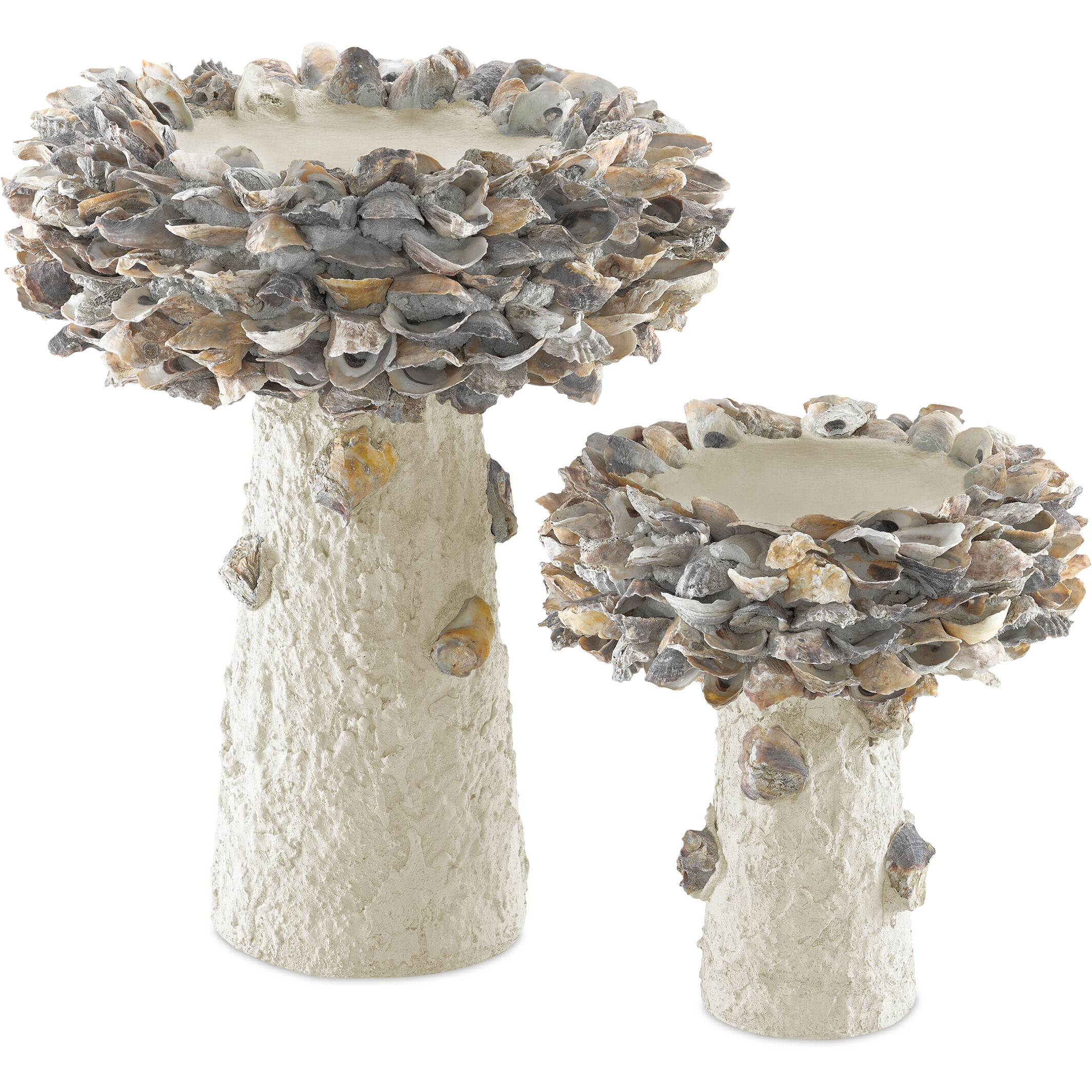 Oyster Shell Natural Bird Bath, Medium