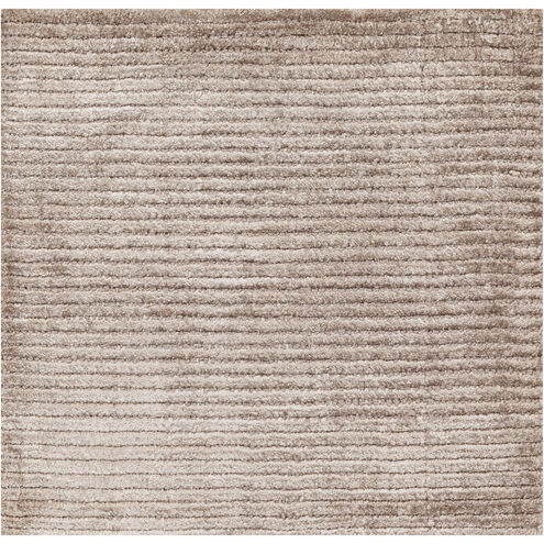 Tiffany 36 X 24 inch Taupe Rug