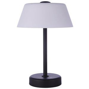 Rechargable Portable 12.5 inch 5 watt Midnight Table Lamp Portable Light, USB Port