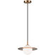 Saturn 1 Light 12 inch Aged Gold Brass and Opal Pendant Ceiling Light in Aged Gold Brass and Opal Glass