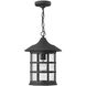 Freeport 1 Light 10 inch Black Outdoor Hanging Lantern