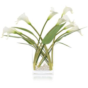 Windblown Callas Botanical, Fresh Water Look