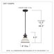 Grant 1 Light 8 inch Palladian Bronze Mini Pendant Ceiling Light