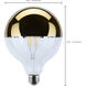 Lumos LED E26 Medium 8 watt 2700K LED Filament