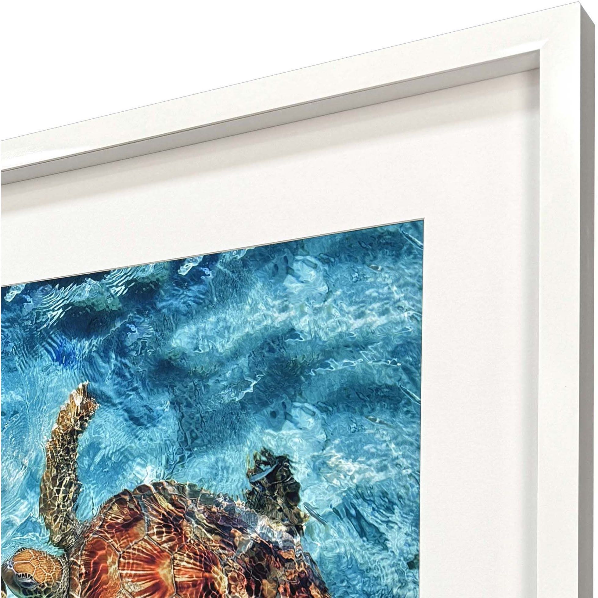 Ocean Turtles Blue and Brown and Multi and Turquoise Framed Art