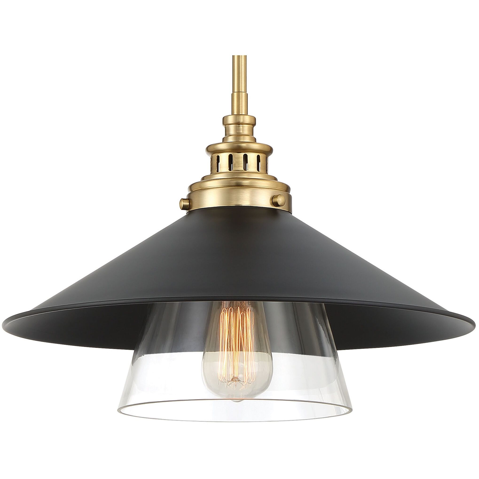Segan 1 Light 15 inch Coal & Soft Brass (Painted) Mini Pendant Ceiling Light, Outdoor