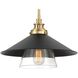 Segan 1 Light 15 inch Coal & Soft Brass (Painted) Mini Pendant Ceiling Light, Outdoor