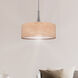 Eden 3 Light 22 inch Brushed Nickel Chandelier Ceiling Light