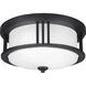 Crowell 2 Light 14.06 inch Black Outdoor Ceiling Flush Mount
