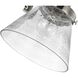 Hinton 12 inch 60.00 watt Brushed Nickel Swing Arm Wall Light