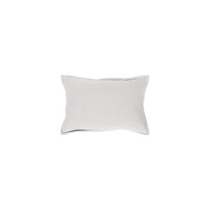 Hamden 19 X 13 inch Sea Foam Throw Pillow