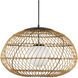 Carriage 1 Light 32.75 inch Black Outdoor Pendant
