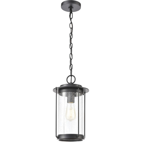 Devonshire 8 inch 100.00 watt Matte Black Outdoor Pendant