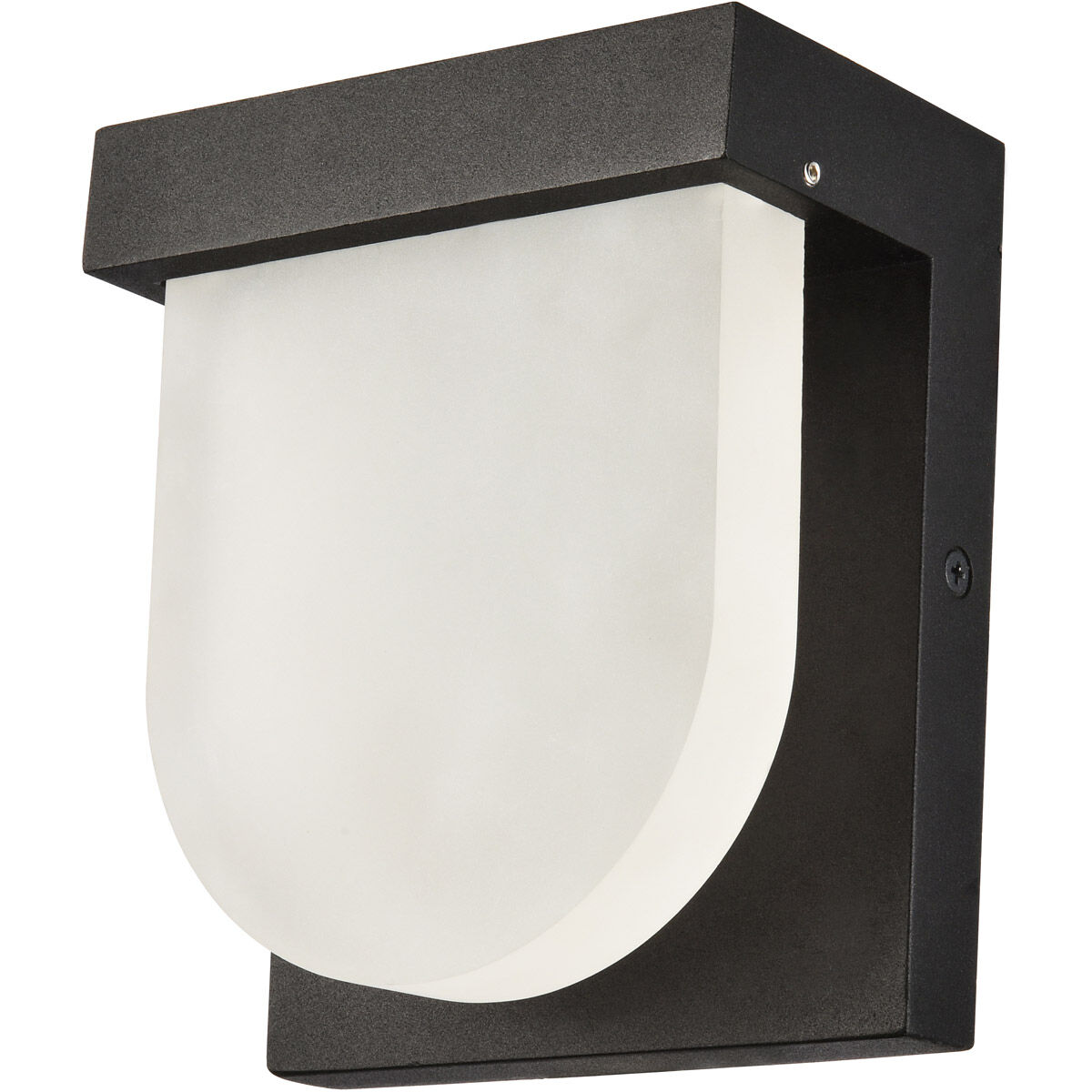 Raine Outdoor Wall Light in Black