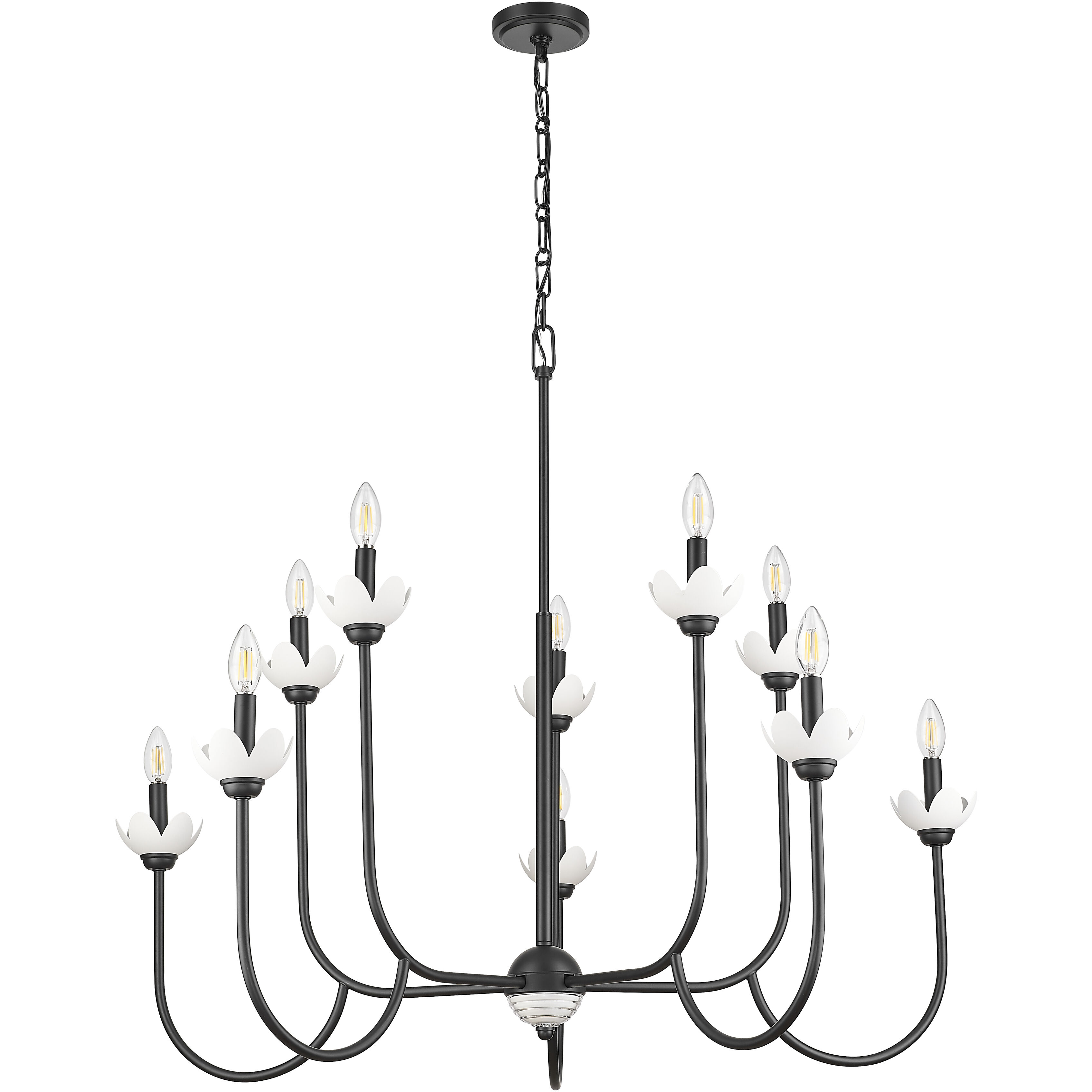 Allistair 10 Light 42 inch Matte Black Chandelier Ceiling Light