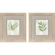 Botanical Bliss Green and Beige and White Framed Art, Propac