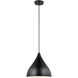 Oden 1 Light 14 inch Midnight Black Pendant Ceiling Light