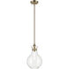 Laria 1 Light Champagne Bronze Pendant Ceiling Light in Clear