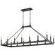 Barclay 16 Light 56 inch Matte Black Linear Chandelier Ceiling Light
