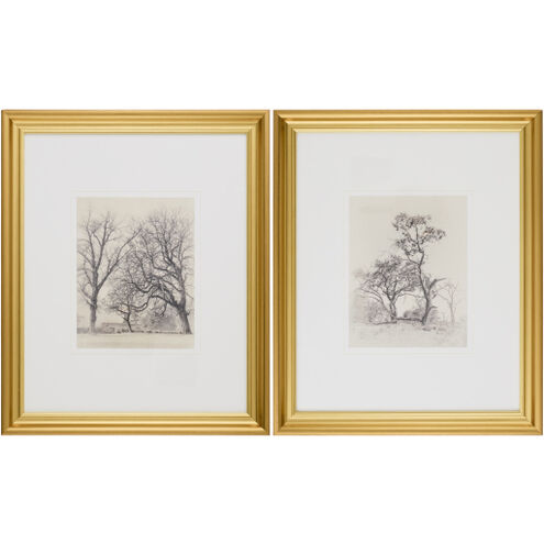 Coconino Burnished Brass and Hand Finished Framed Art