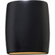 Ambiance Collection LED 10 inch Carbon Matte Black/Champagne Gold Outdoor Wall Sconce