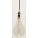 Lumos Incandescent PS52 Medium E26 60 watt 120V 2200K Light Bulb