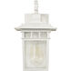 Cove Neck 1 Light 12 inch White Outdoor Wall Lantern