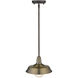 Burry 1 Light 10.25 inch Antique Brass Exterior Convertible Pendant